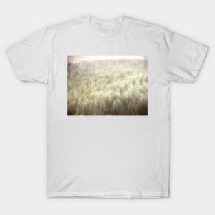 Pine Forest from Above T-Shirt